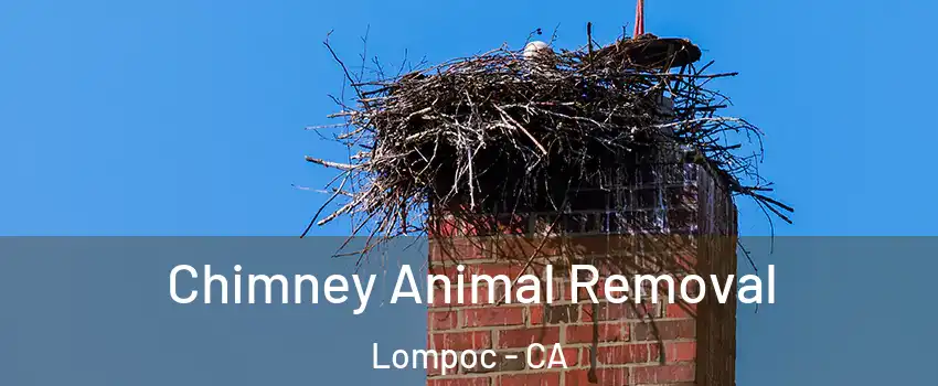 Chimney Animal Removal Lompoc - CA