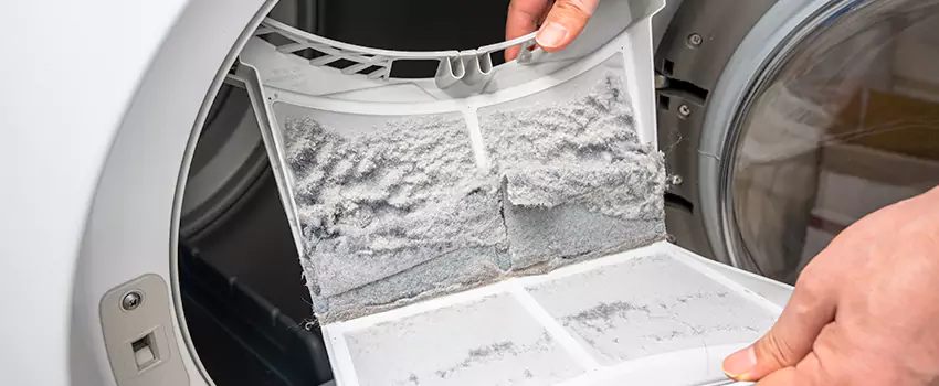 Best Dryer Lint Removal Company in Lompoc, California