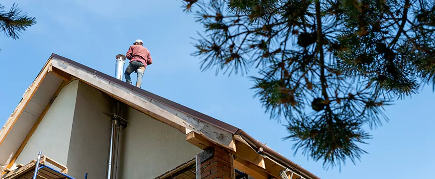 Birds Removal Contractors from Chimney in Lompoc, CA