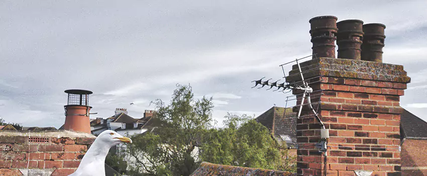 Chimney Cleaning And Restoration in Lompoc, California
